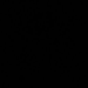 Willing to trade for Jeans or Khakis